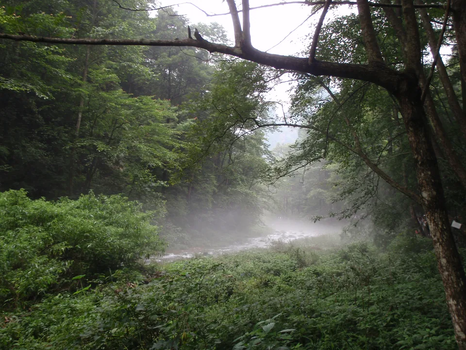 Golden Whip Stream, Wulingyuan